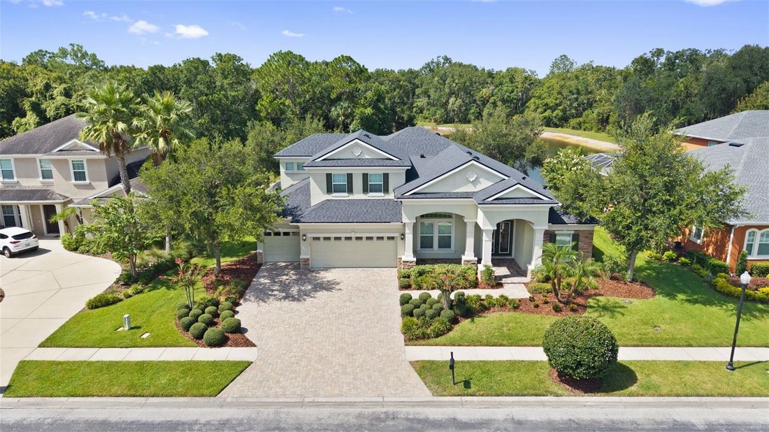 Casa a Wesley Chapel, Florida, Stati Uniti 5 - 18703618