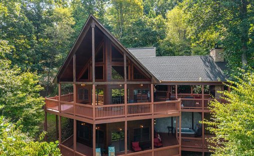 Casa en Mineral Bluff, Georgia, Estados Unidos 1