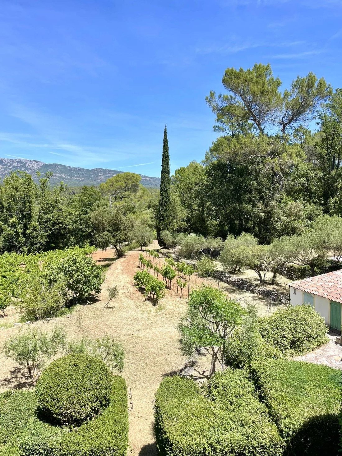 House in Correns, Provence-Alpes-Côte d'Azur, France 5 - 17922791