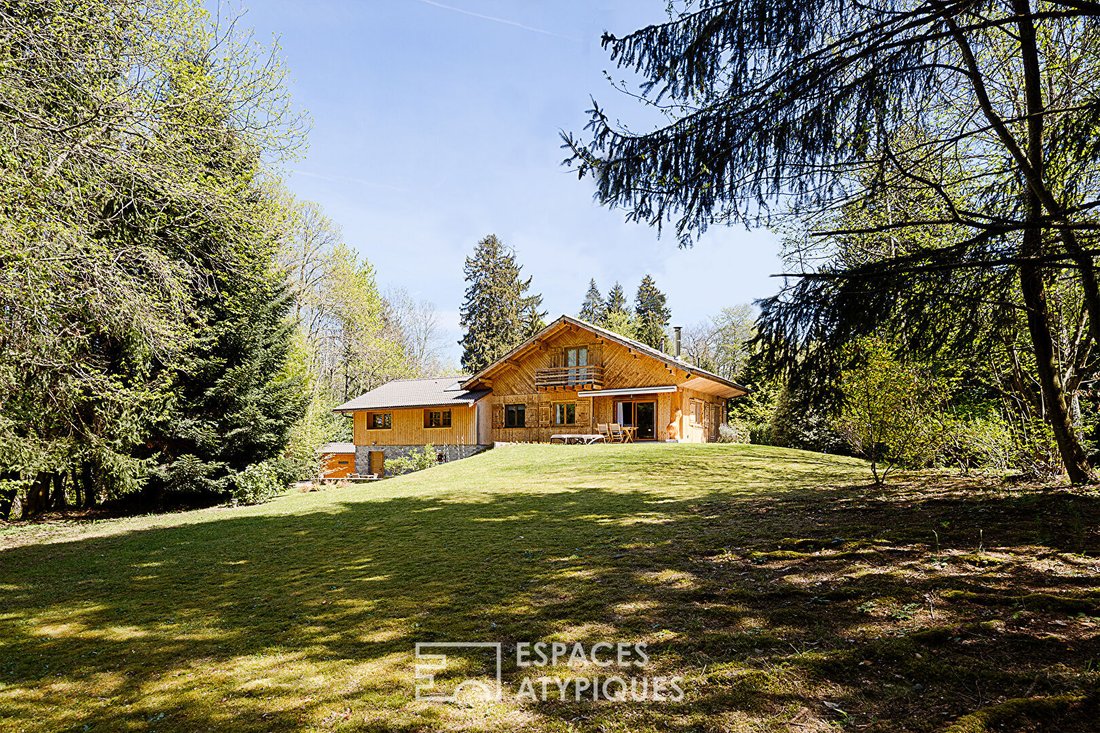 Villa in Bons-en-Chablais, Auvergne-Rhône-Alpes, France 2 - 18707391