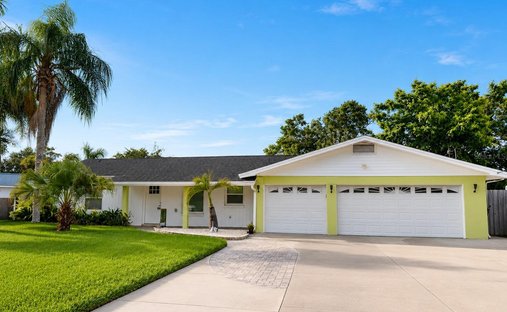 House in Tampa, Florida, United States 1