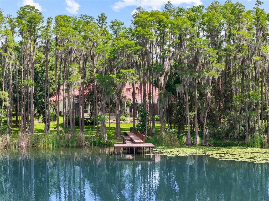 House in Land O' Lakes, Florida, United States 2 - 18702559