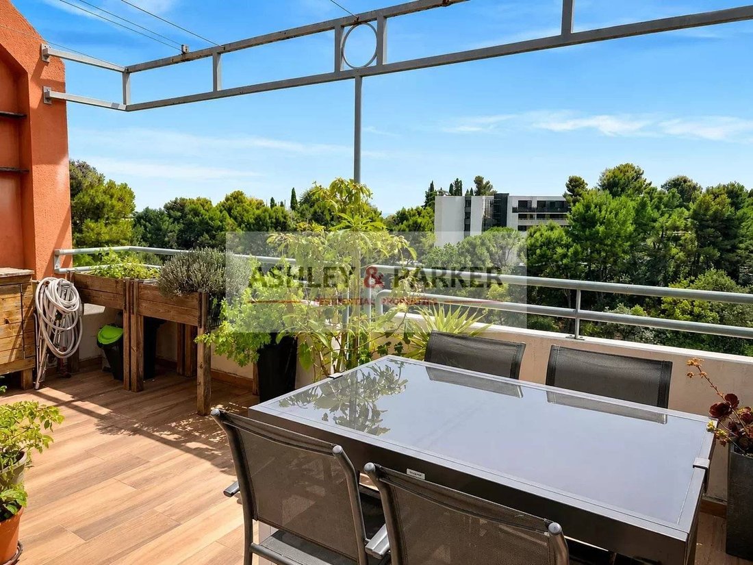Apartment in Cannes, Provence-Alpes-Côte d'Azur, France 2 - 18251280