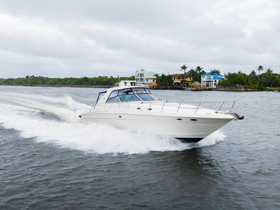Cruiser in United States 4 - 18713980