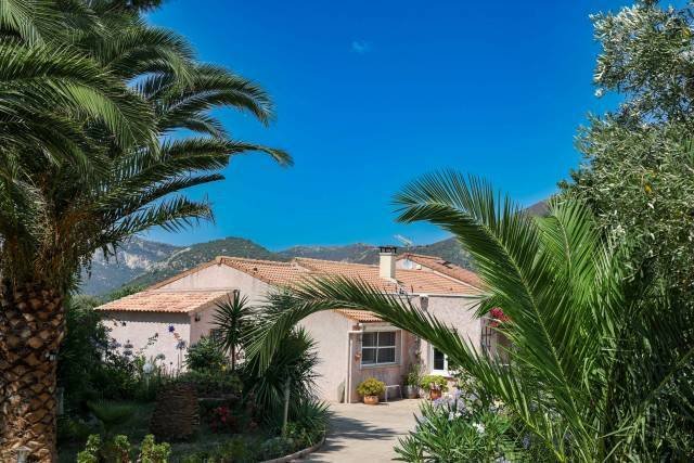 Maison à Montegrosso, Corse, France 1 - 18646360