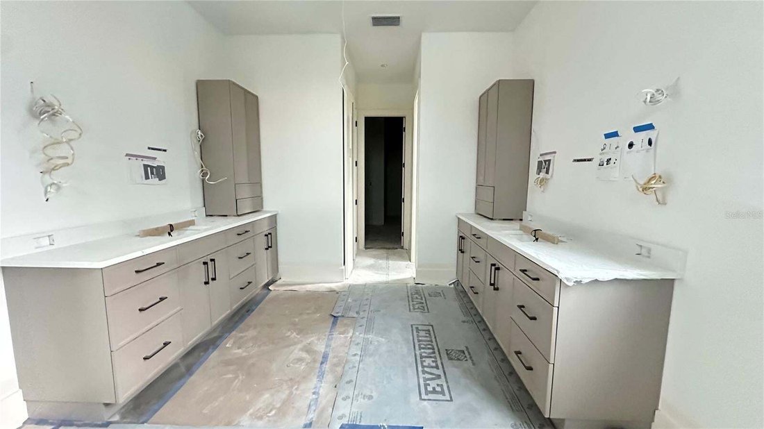 House in Tampa, Florida, United States 5 - 17603944