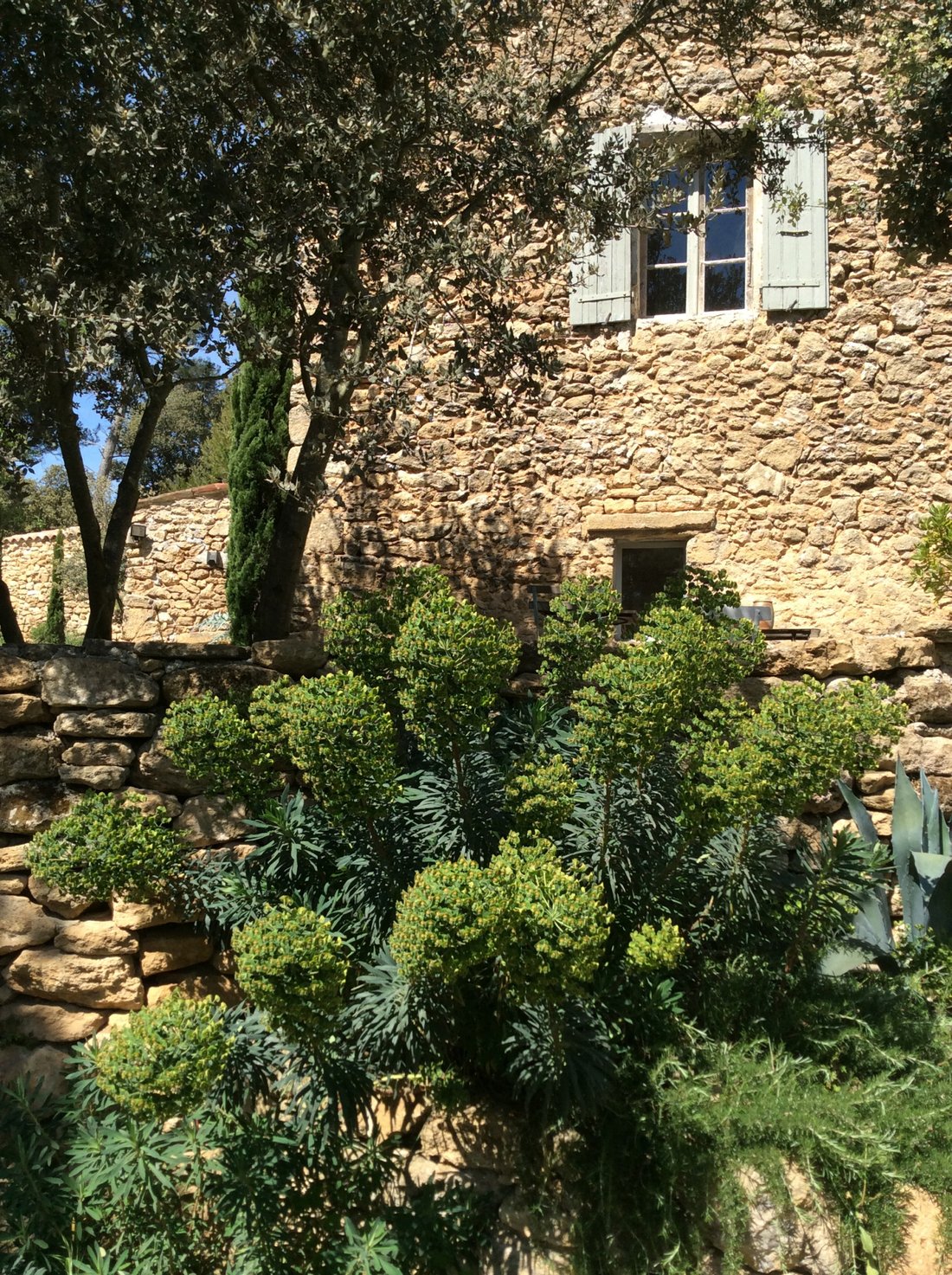 House in Peyrolles-en-Provence, Provence-Alpes-Côte d'Azur, France 4 - 18704129