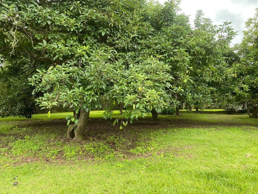 Land in Quito, Pichincha, Ecuador 5 - 18704338