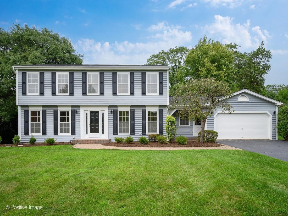 House in Burr Ridge, Illinois, United States 1 - 18706239