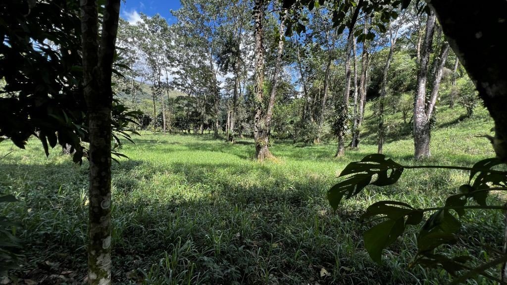Land in Rivas, San José Province, Costa Rica 5 - 18709551