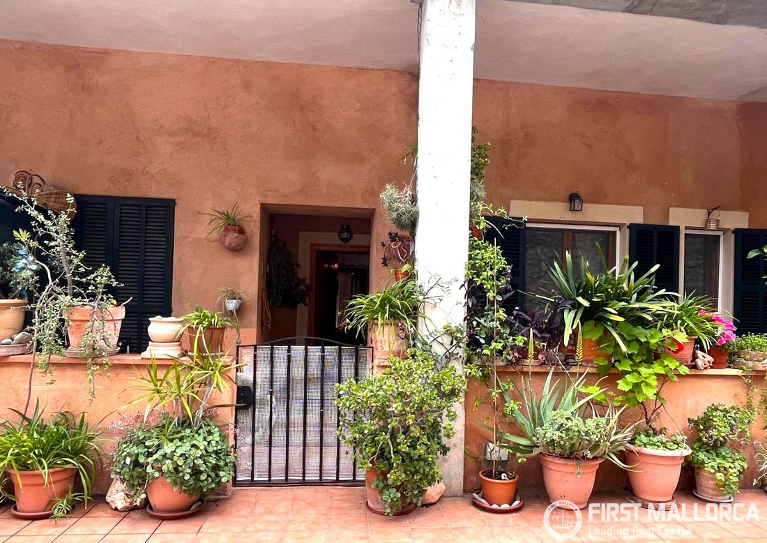 Apartment in Bunyola, Balearic Islands, Spain 1 - 17873606