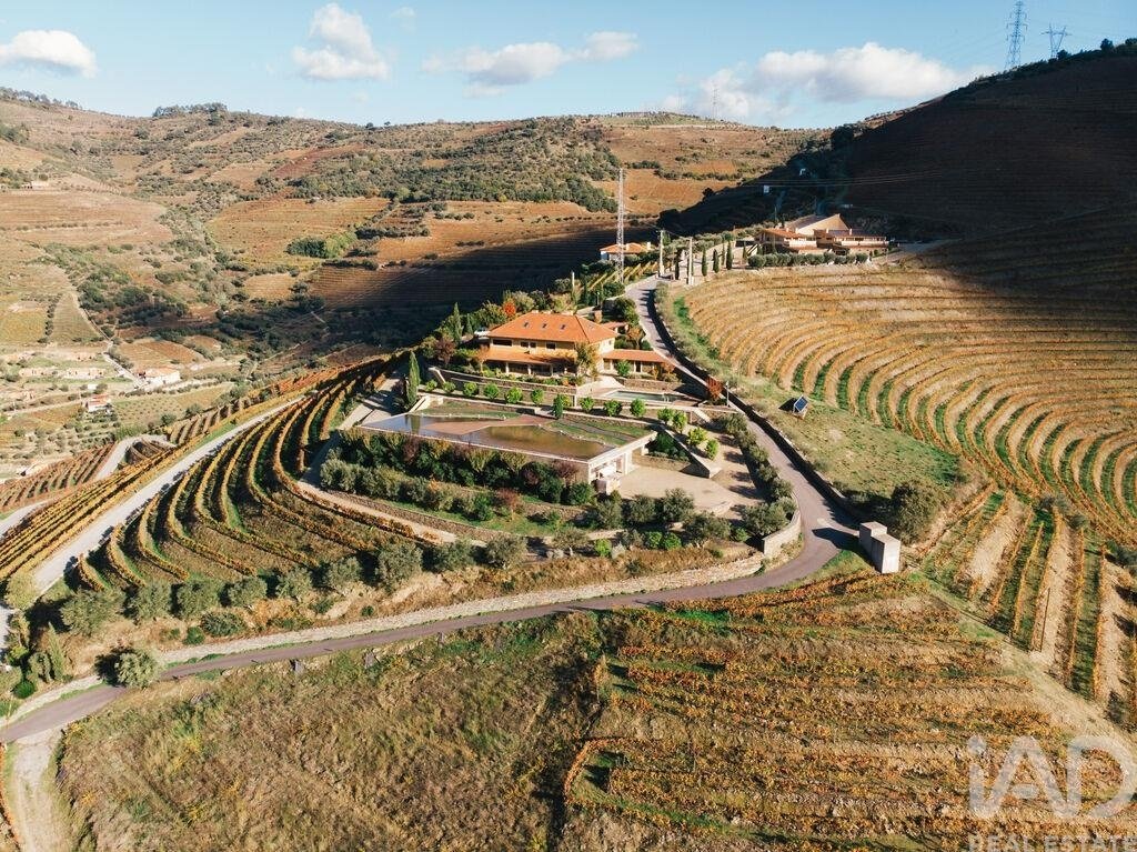 Farm Ranch in Folgosa, Viseu District, Portugal 2 - 18709165