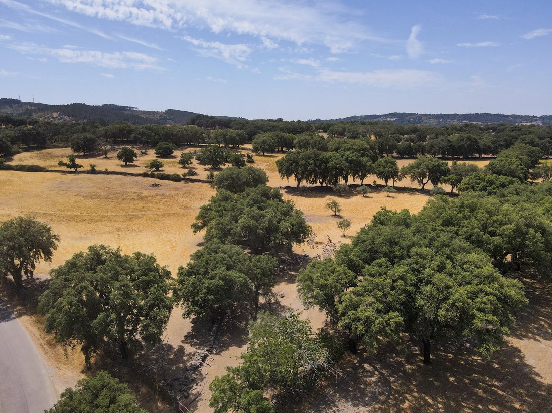 Finca in Sao Salvador da Aramenha, Portalegre District, Portugal 5 - 18710839