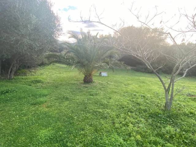 Maison à Lumio, Corse, France 5 - 18646355