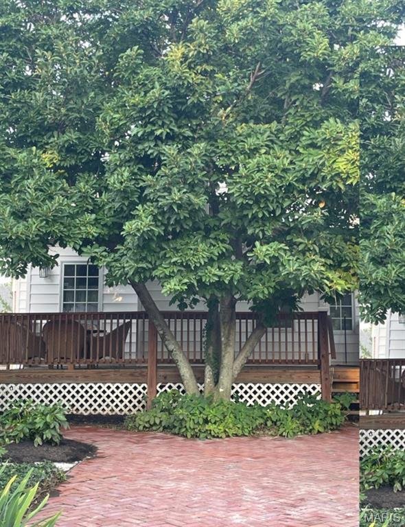 House in Kirkwood, Missouri, United States 4 - 18702958