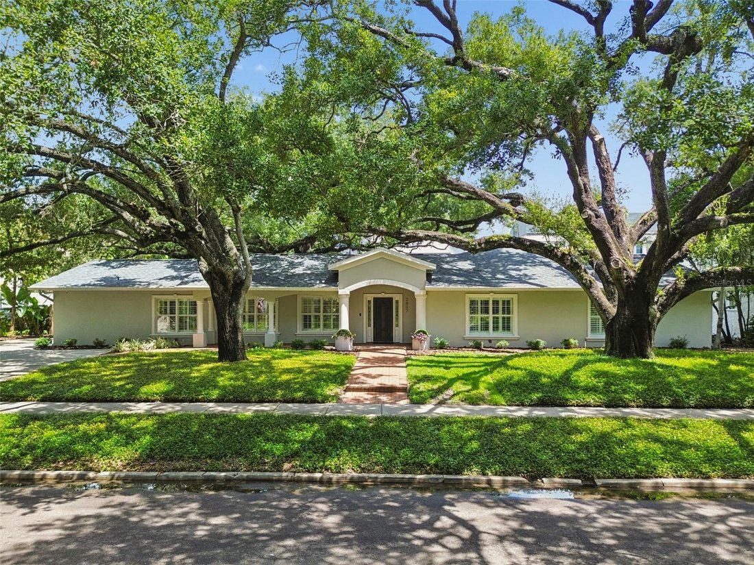 House in Tampa, Florida, United States 1 - 18705661