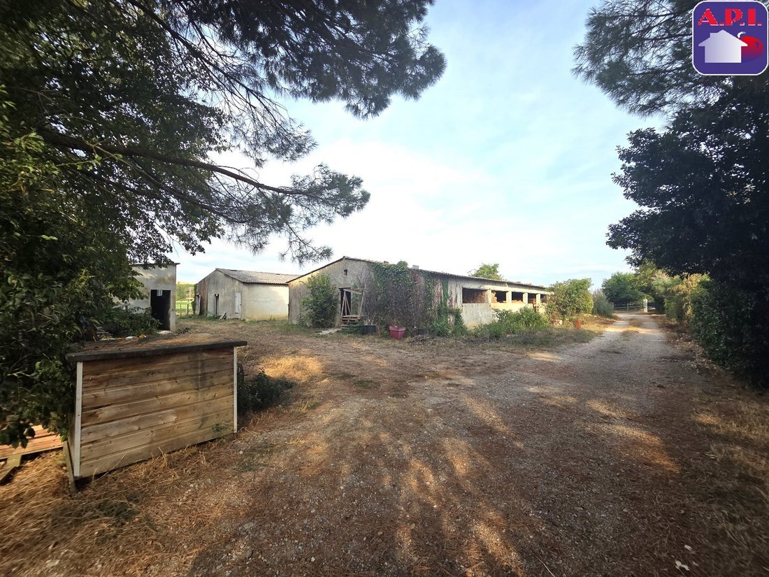 Farm Ranch in Mazères, Occitania, France 5 - 18707265