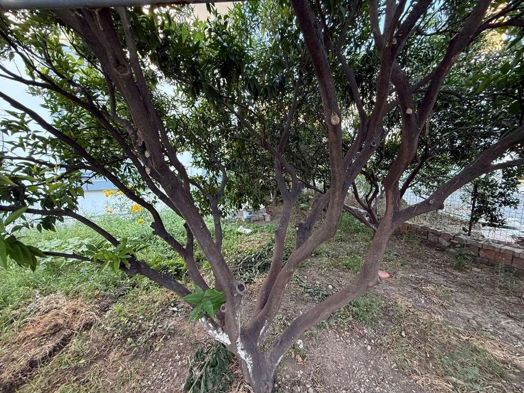 Apartment in Ortaca, Muğla, Turkey 3 - 18710403