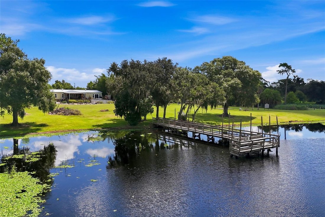 Farm Ranch in Myakka City, Florida, United States 5 - 18702996