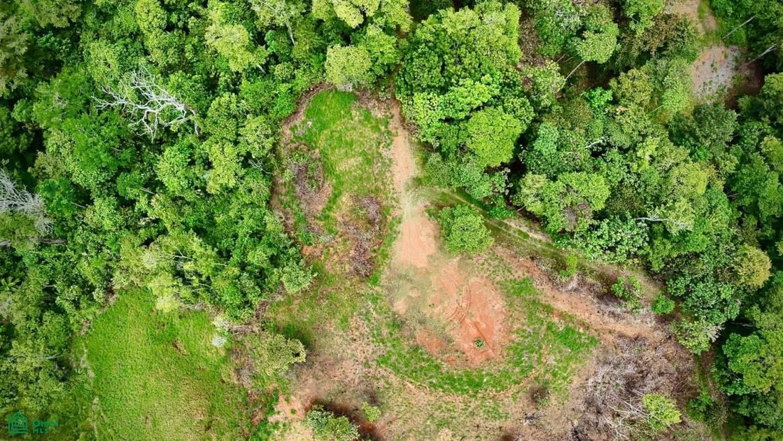 Terreno in Uvita, Provincia di Puntarenas, Costa Rica 4 - 17814975