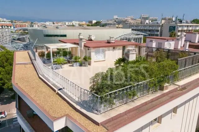 Apartment in Fontmerle, Antibes, France 3 - 17917723