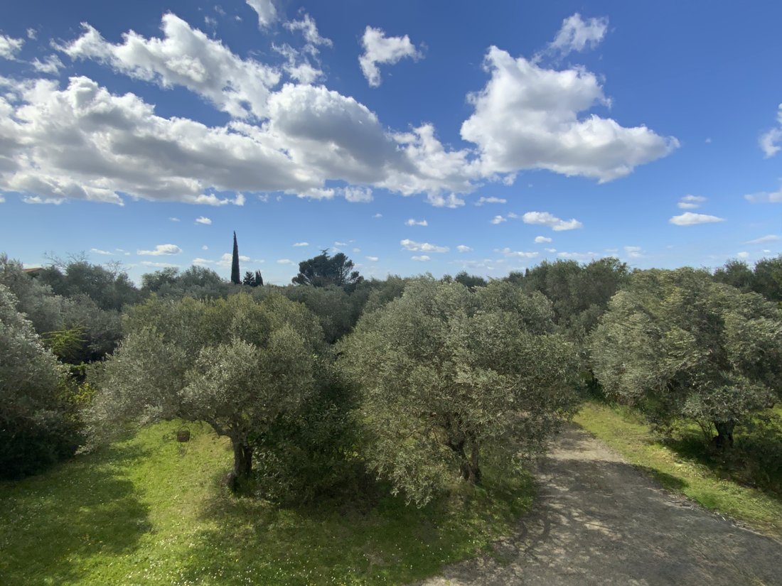 Land in Uza, Nouvelle-Aquitaine, France 1 - 18710583