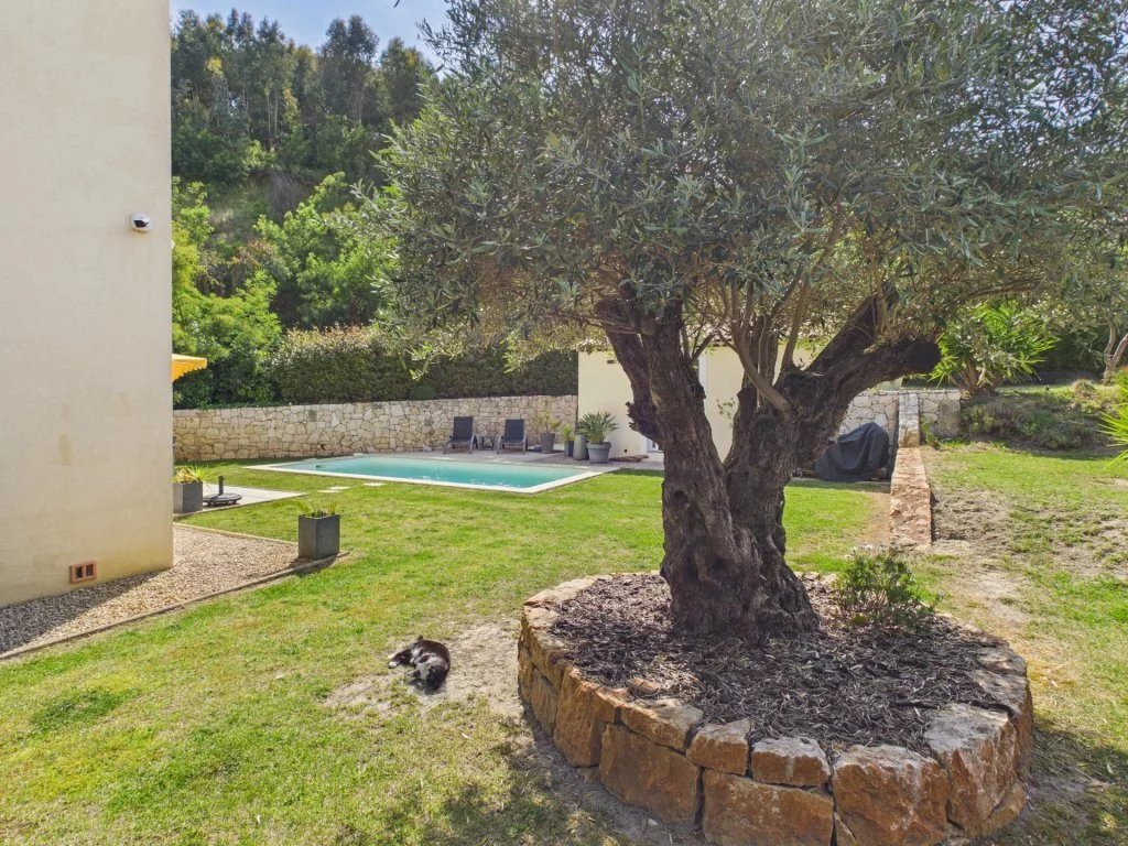 Villa in Sud, Pégomas, France 4 - 18710562