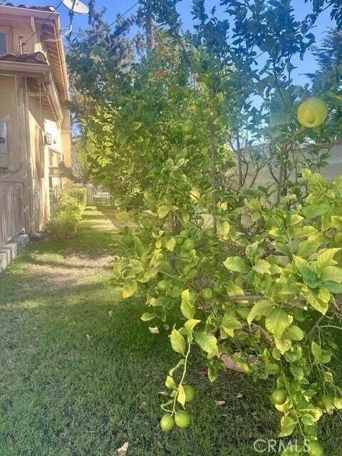 House in Altadena, California, United States 2 - 18705849