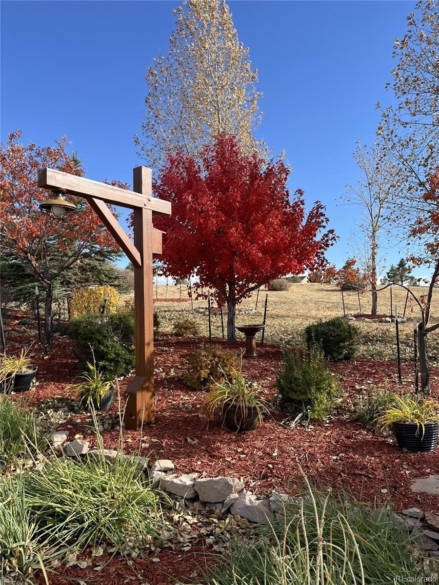 Haus in Parker, Colorado, Vereinigte Staaten 5 - 18015672