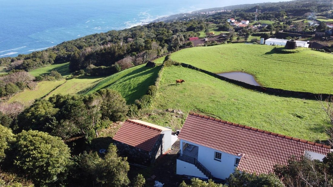 House in Ribeirinha, Azores, Portugal 1 - 18712944