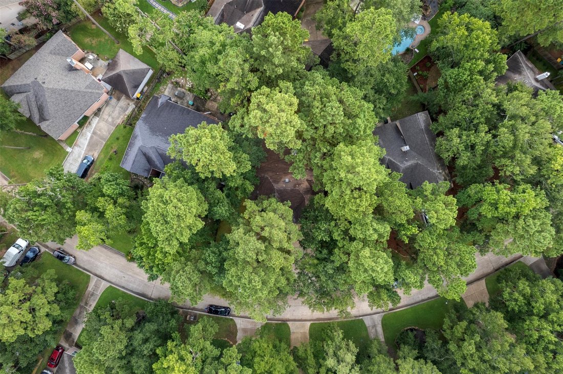 House in The Woodlands, Texas, United States 2 - 18706607