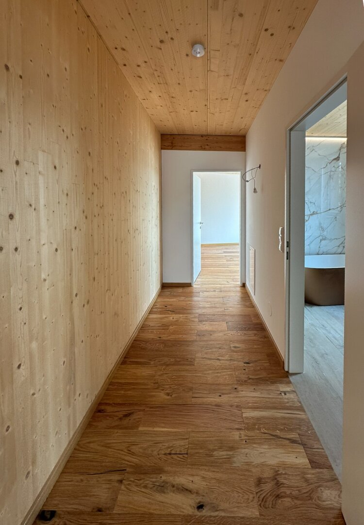 Penthouse in Maria Enzersdorf, Lower Austria, Austria 5 - 18709449