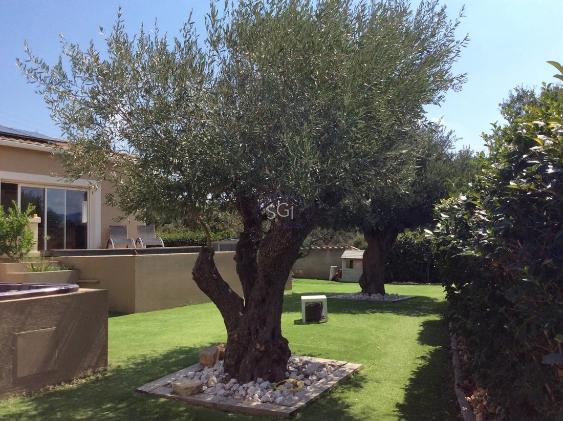 Villa a Vives, Occitania, Francia 4 - 18704266