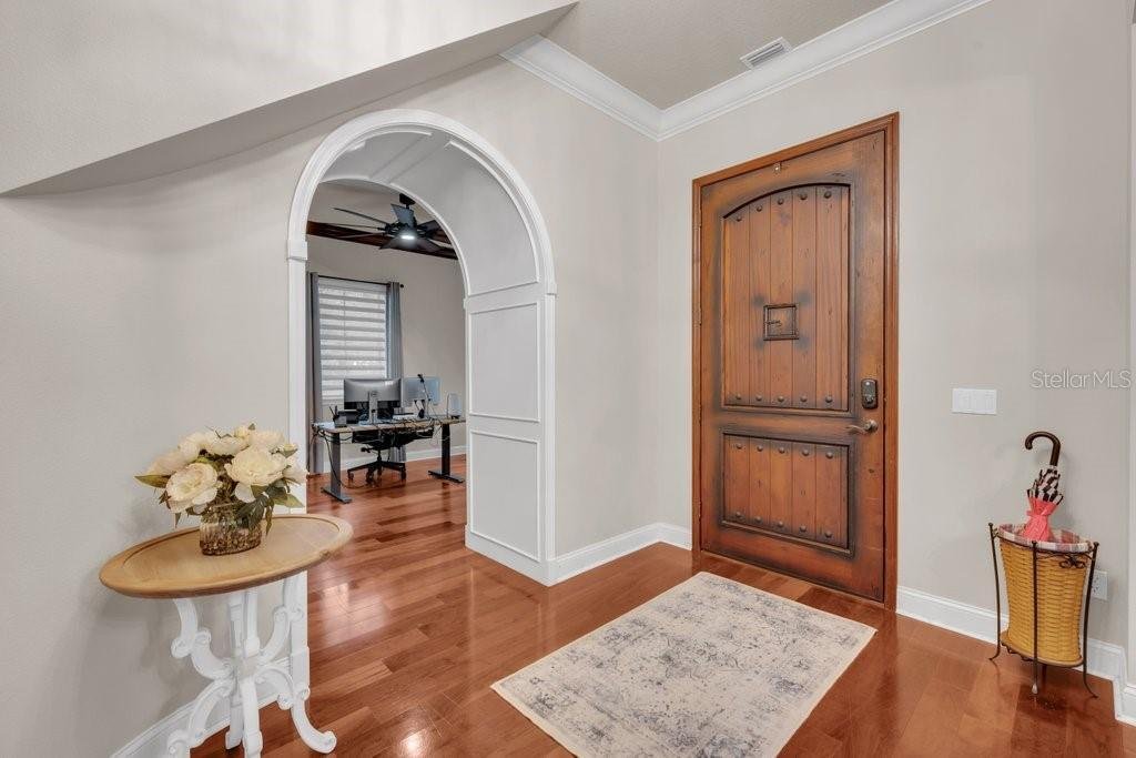 House in Lithia, Florida, United States 5 - 18702987