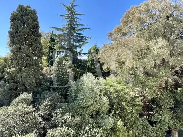 Apartment in Cannes, Provence-Alpes-Côte d'Azur, France 4 - 15622678