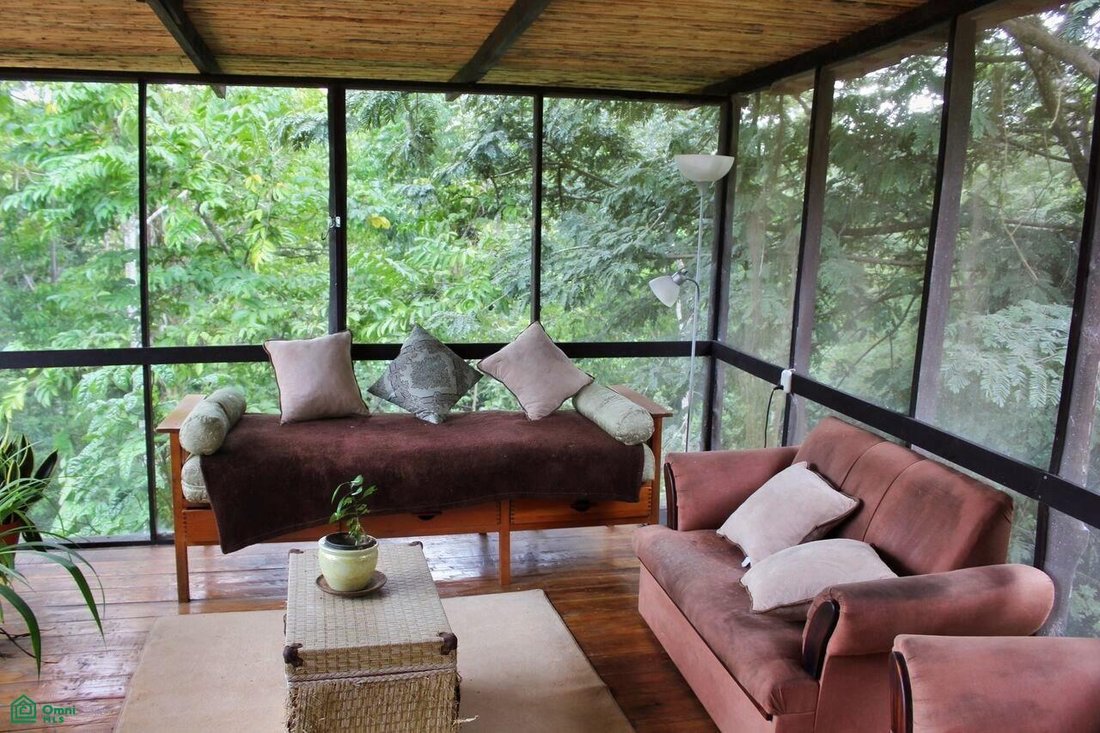 House in Parrita, Puntarenas Province, Costa Rica 2 - 17729006