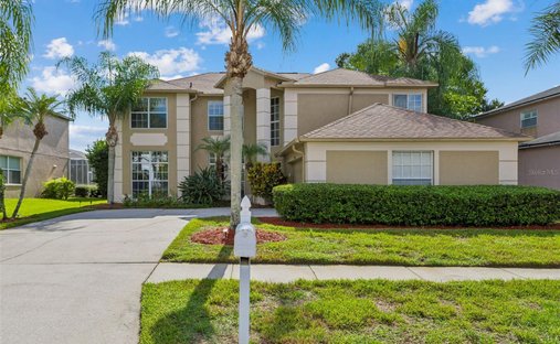 House in Odessa, Florida, United States 1