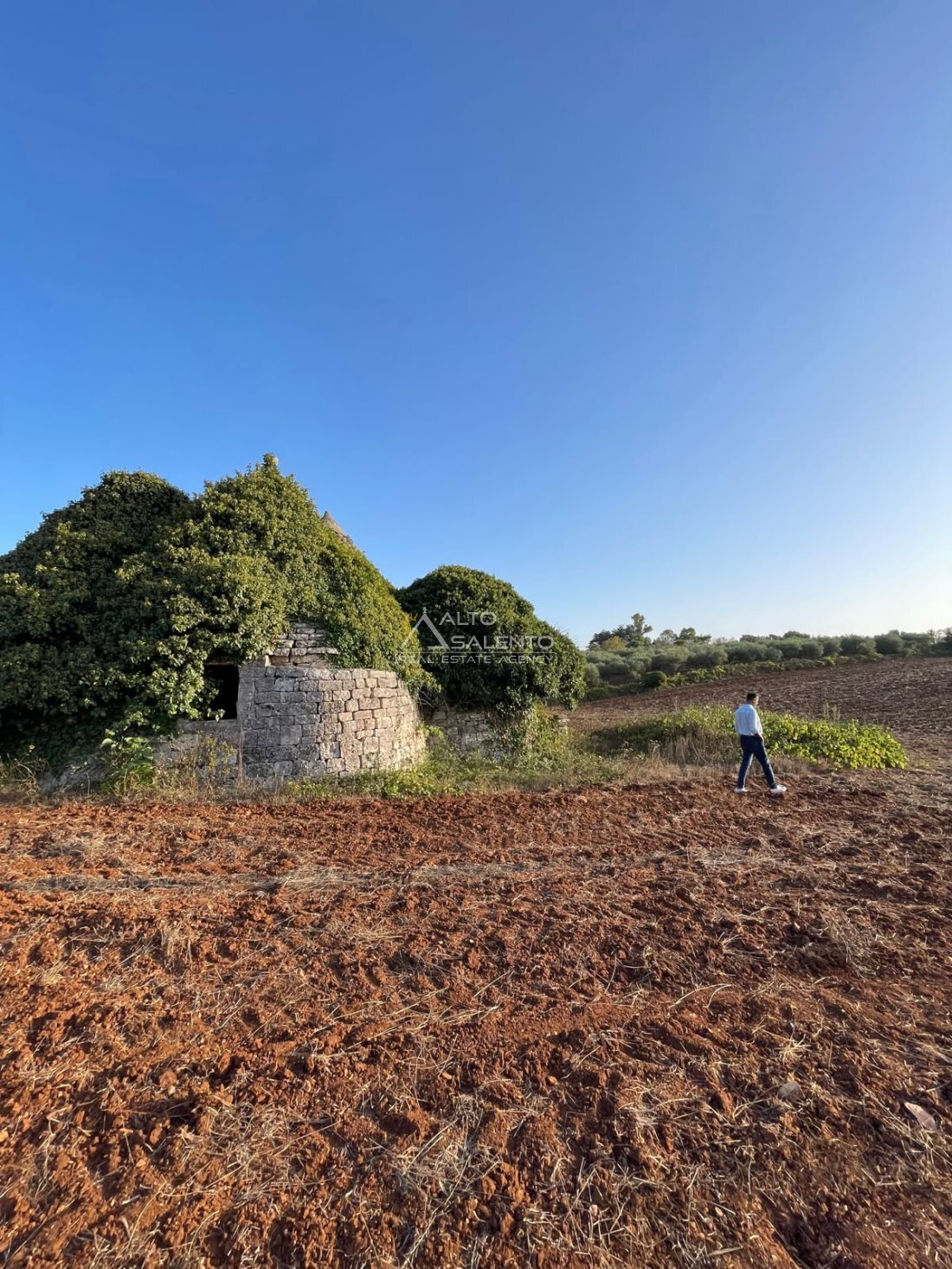 Country House in Ludovico Street - Corso Umberto I - Vittorio Emanuele Street, Ostuni, Apulia 2 - 18710332