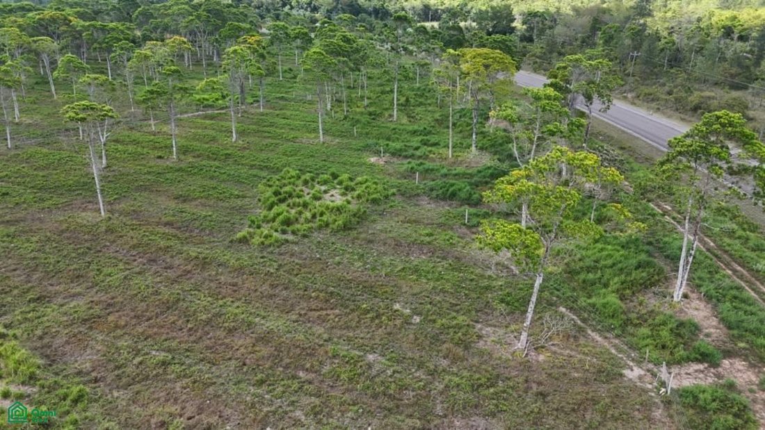 Terrain en Bladen, Tolède, Belize 2 - 18705365