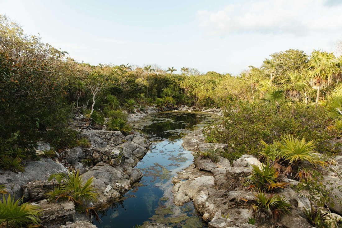 Land in Yalkú, Quintana Roo, Mexico 4 - 18709867