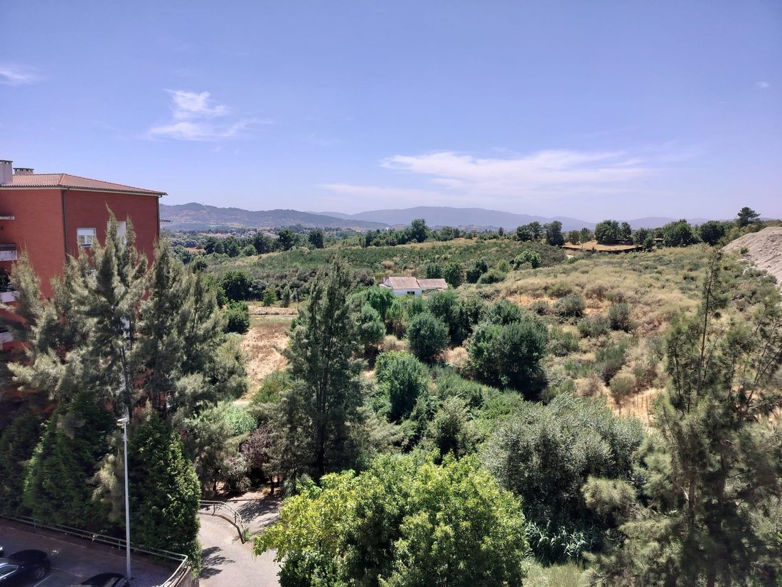 Apartment in Boidobra, Castelo Branco District, Portugal 4 - 18707248