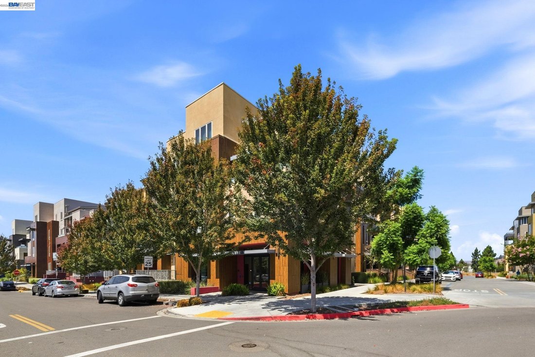 Condo in Newark, California, United States 3 - 18705684