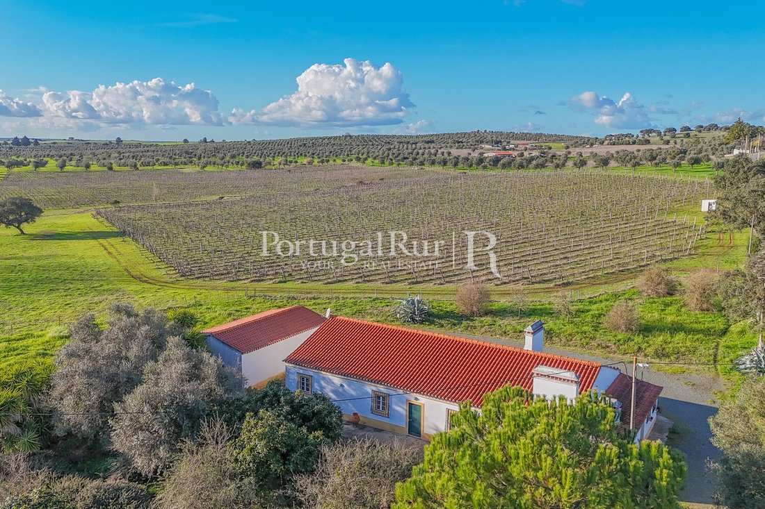 Finca in Avis, Portalegre District, Portugal 1 - 18707331