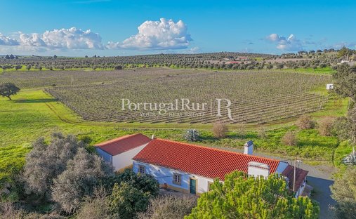 Finca in Avis, Portalegre District, Portugal 1