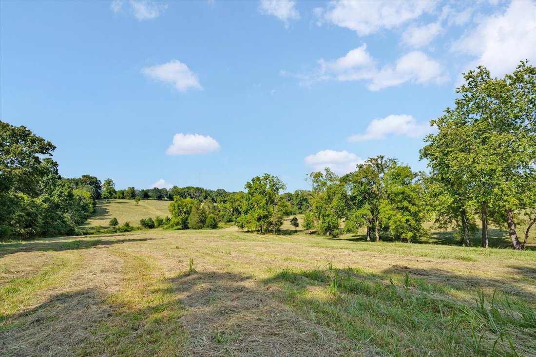 Land in Nixa, Missouri, United States 5 - 18711499