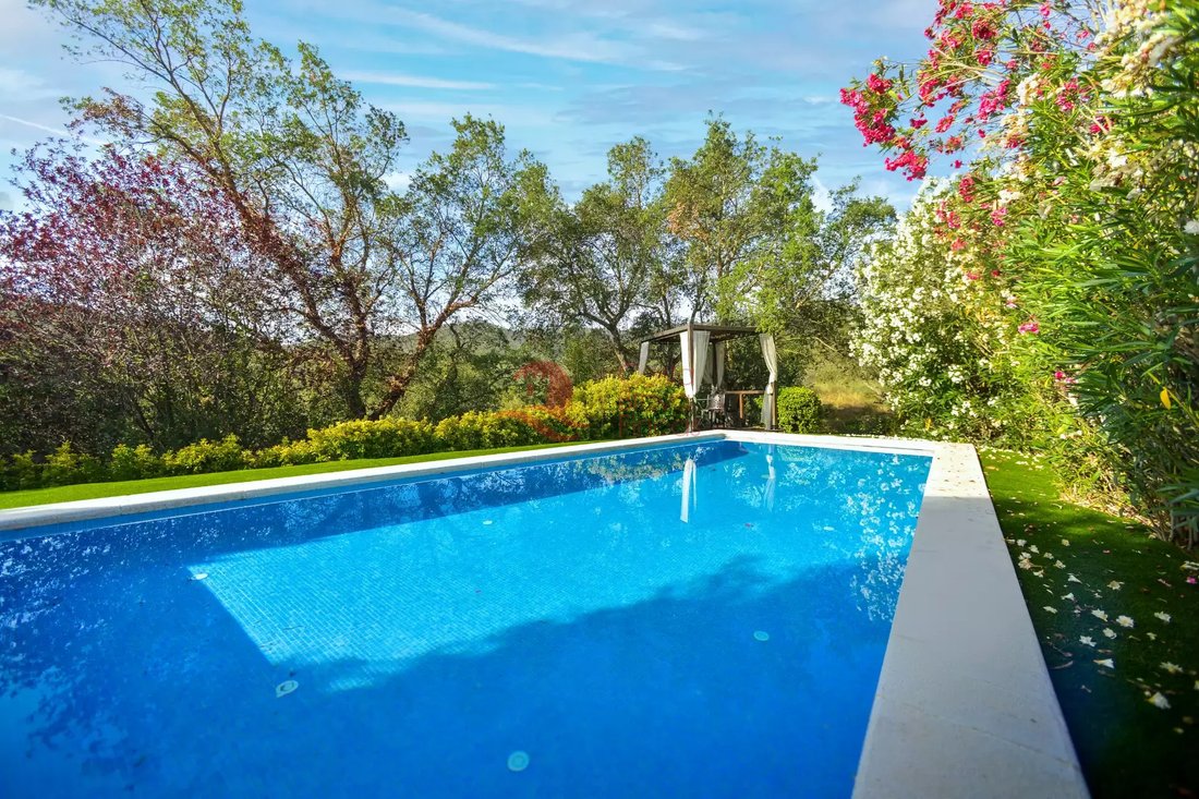 Apartment in Calonge i Sant Antoni, Catalonia, Spain 3 - 18709234