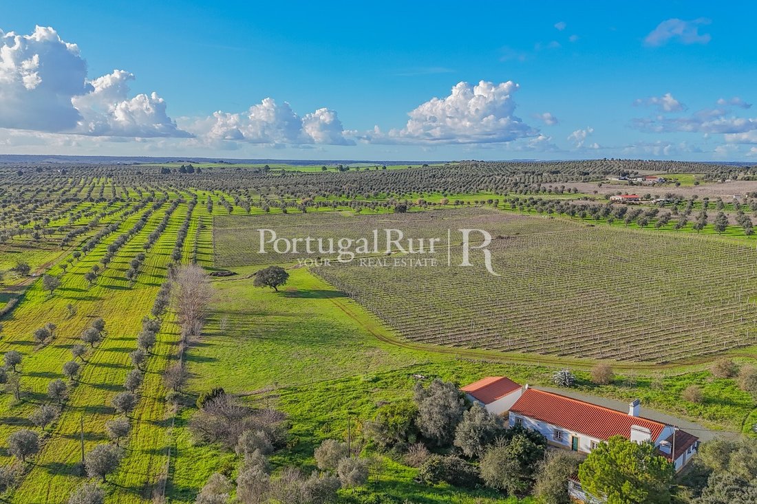 Finca in Avis, Portalegre District, Portugal 2 - 18707331
