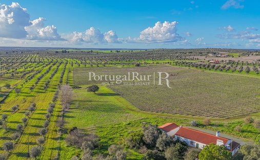 Finca en Avis, Distrito de Portalegre, Portugal 1