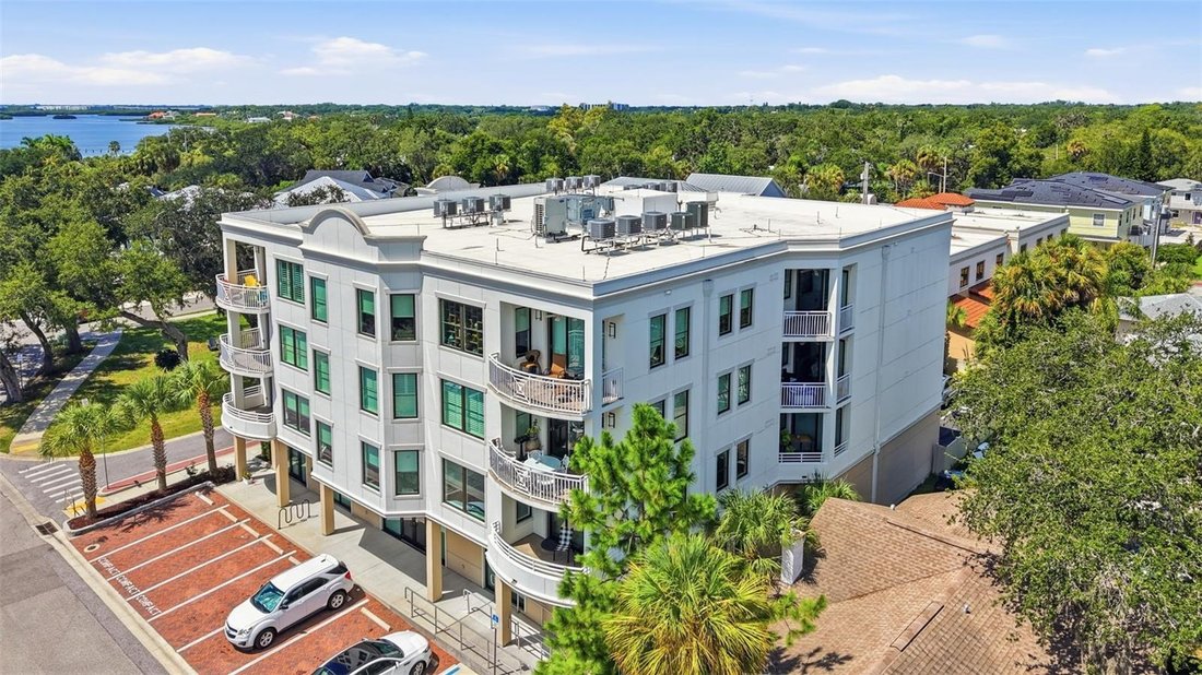 Condo in Safety Harbor, Florida, United States 1 - 18705575