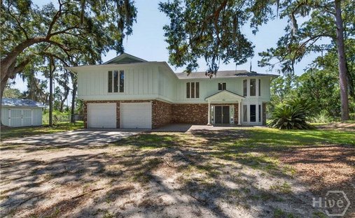 House in Riceboro, Georgia, United States 1